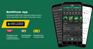 BetWinner Online Betting Platform Your Gateway to Exciting Wagering -843143917